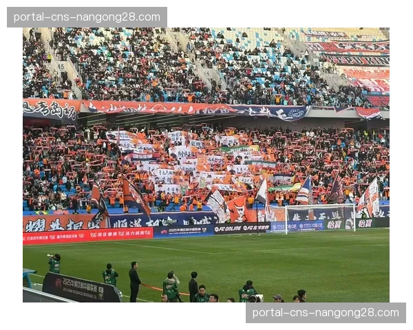 专业足球场再添新成员,青岛青春足球场通过中超准入核验 专业足球场再添新成员,青岛青春足球场通过中超准入核验