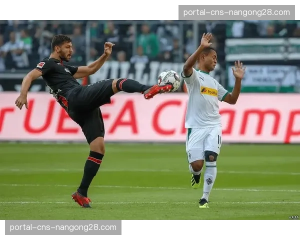 前瞻：德甲保级附加赛规则变更对当前形势的影响